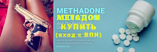 трава Аркадак