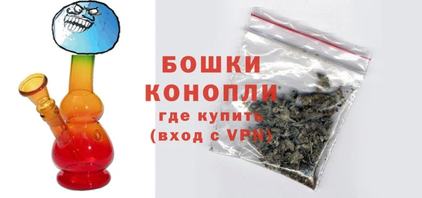 ешки Арсеньев