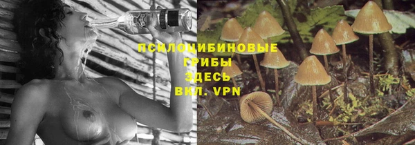 ешки Арсеньев