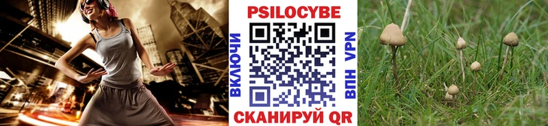 OMG ссылки  Валдай  Галлюциногенные грибы мицелий 